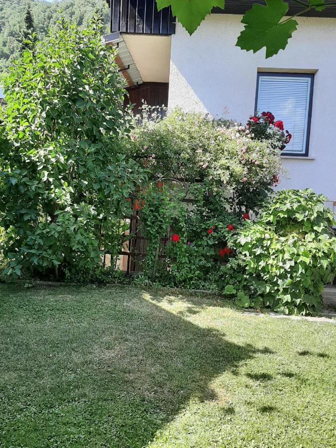 Apartma Vester Bled Kültér fotó