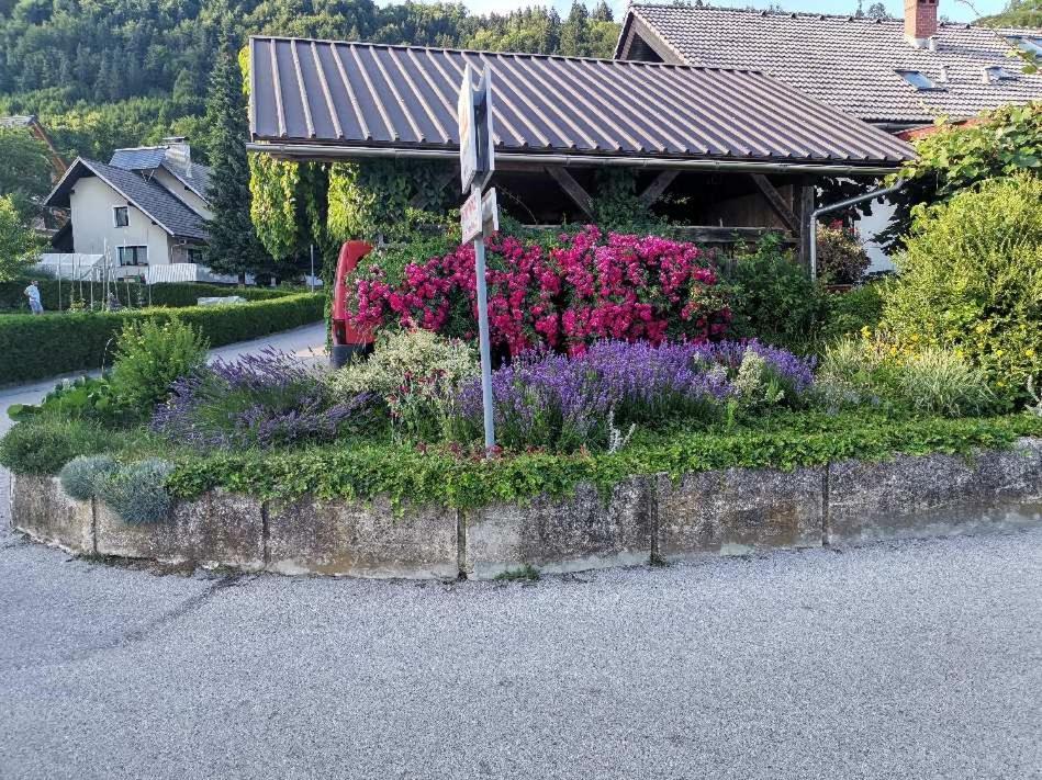 Apartma Vester Bled Kültér fotó